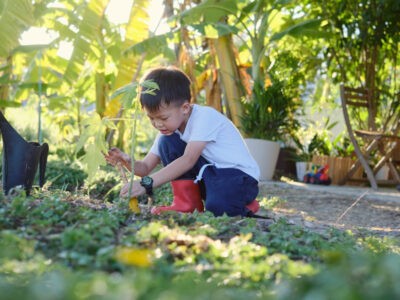 Projets de jardinage pour la famille : Sécurité en ligne pour le jardinage avec les enfants