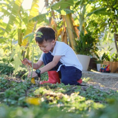 Projets de jardinage pour la famille : Sécurité en ligne pour le jardinage avec les enfants